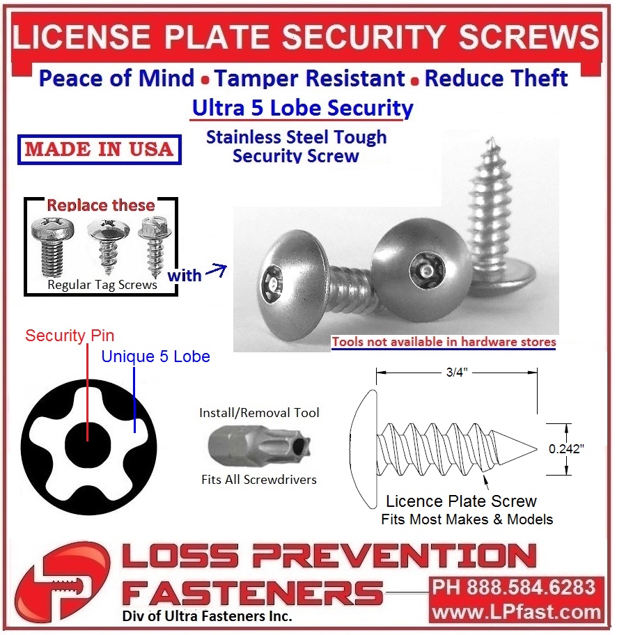 4 Domestic Theft Deterrent Auto Security License Plate Screws Stainless Steel